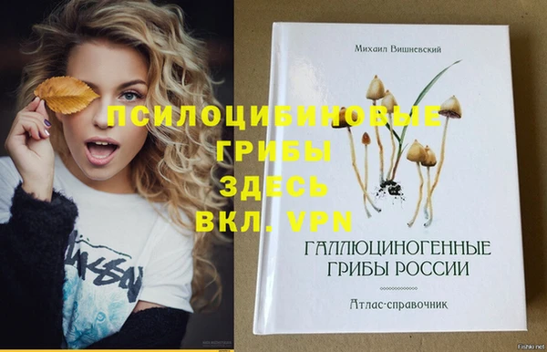 спайс Рославль